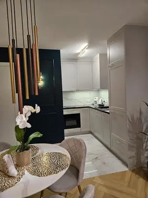 Kuchnia lub aneks kuchenny w obiekcie Apartament Deluxe Centrum Warszawa