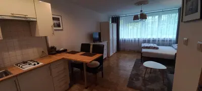 Kuchnia lub aneks kuchenny w obiekcie Warsaw Centrum Apartment