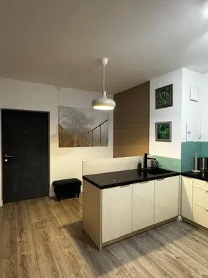 Kuchnia lub aneks kuchenny w obiekcie Apartament Rondo Daszyńskiego