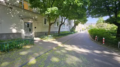 Okolica w pobliżu tego apartamentu
