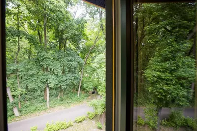 Ogród w obiekcie ShortStayPoland Batorego (B164)