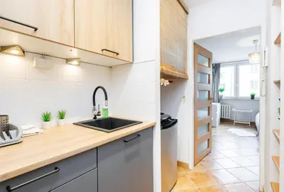 Kuchnia lub aneks kuchenny w obiekcie Cinnamon Apartment Metro Swietokrzyska