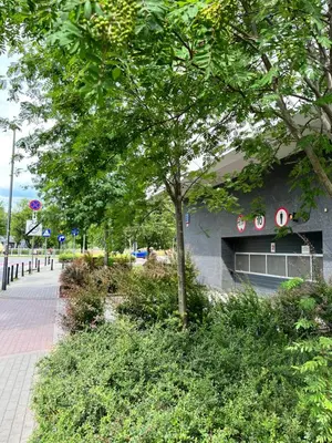 Ogród w obiekcie Apartment Metro Słodowiec Free Parking