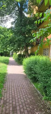 Ogród w obiekcie Fitmaison Apartment Ochota