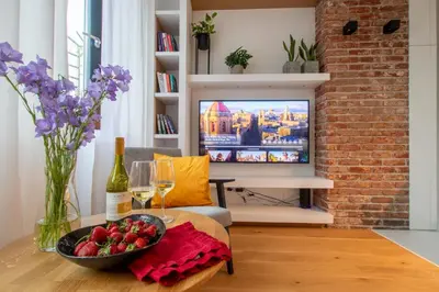Telewizja i/lub zestaw kina domowego w obiekcie Studio Olesińska