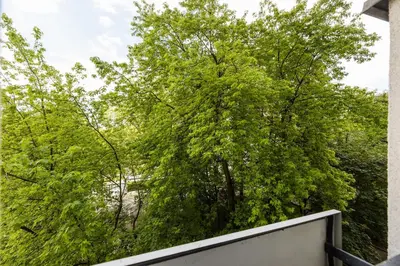 Ogród w obiekcie ShortStayPoland Chłodna B168