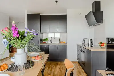 Kuchnia lub aneks kuchenny w obiekcie Praga Południe - P&O Apartments