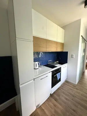 Kuchnia lub aneks kuchenny w obiekcie White House 1
