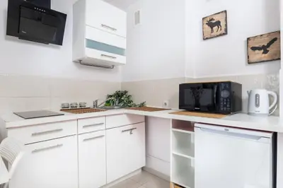 Kuchnia lub aneks kuchenny w obiekcie Lavender Studios City Centre Grzybowska