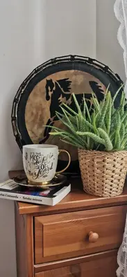 Plan piętra w obiekcie Green Apartament Żoliborz
