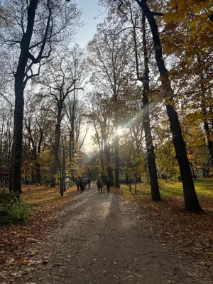 Przyroda w pobliżu tego apartamentu