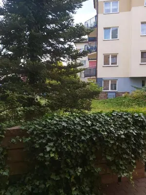 Ogród w obiekcie Apartament, 2 pokoje, stacja metra Kabaty, Ursynów