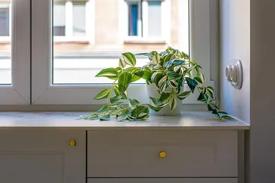 Plan piętra w obiekcie Apartament Koszykowa 3