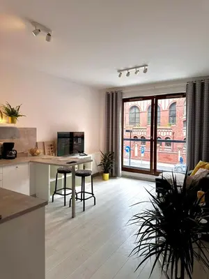 Kuchnia lub aneks kuchenny w obiekcie Apartment A85 City Centre, free parking