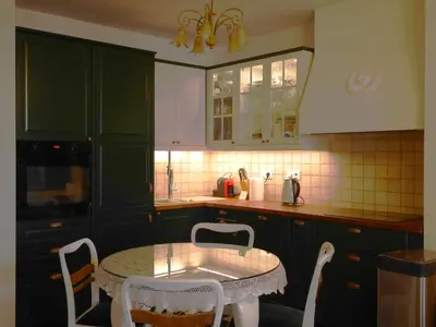 Kuchnia lub aneks kuchenny w obiekcie Stara Praga