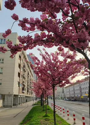 Budynek, w którym mieści się apartament