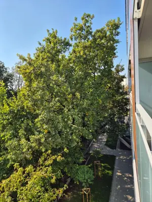 Plan piętra w obiekcie Great Apart Imielin 2