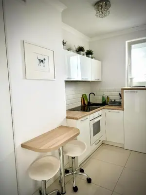 Kuchnia lub aneks kuchenny w obiekcie 40 m2 Apartament City Centrum- 1km od Dworca Centralnego- Piękny Widok na Warszawę- Nowo grodzka