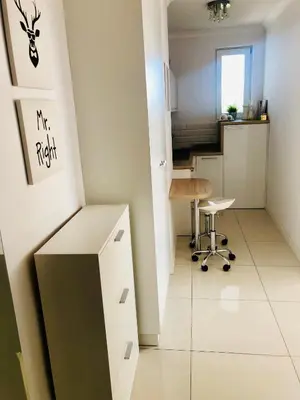 Kuchnia lub aneks kuchenny w obiekcie 40 m2 Apartament City Centrum- 1km od Dworca Centralnego- Piękny Widok na Warszawę- Nowo grodzka