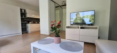 Telewizja i/lub zestaw kina domowego w obiekcie CITY CENTRE Warsaw Apartment Kolejowa EXPO