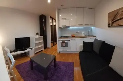 Kuchnia lub aneks kuchenny w obiekcie Apartament Wrzeciono