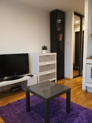 Telewizja i/lub zestaw kina domowego w obiekcie Apartament Wrzeciono