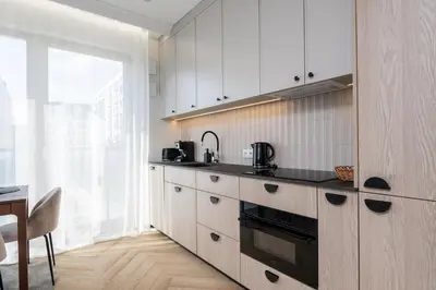 Kuchnia lub aneks kuchenny w obiekcie Kombucha Premium Apartment Wynalazek
