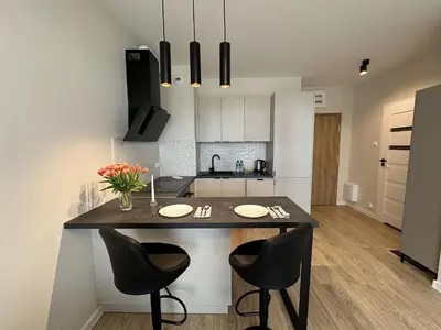 Kuchnia lub aneks kuchenny w obiekcie Apartament Nova Ochota, Tennis court, Train & Bus nearby