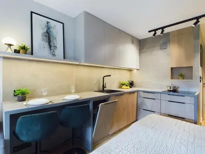 Kuchnia lub aneks kuchenny w obiekcie Beautiful Studio for Two People by Noclegi Renters