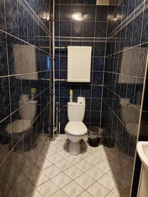 Łazienka w obiekcie Lubava