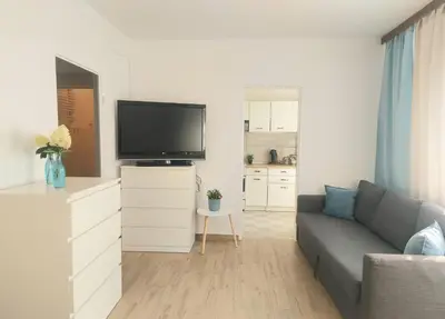 Telewizja i/lub zestaw kina domowego w obiekcie Rental Apartments Smoluchowskiego