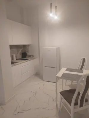 Kuchnia lub aneks kuchenny w obiekcie Apartamenty Nogalin