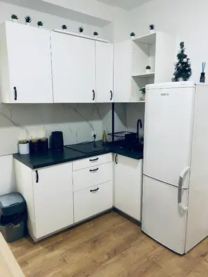 Kuchnia lub aneks kuchenny w obiekcie ClickTheFlat Wola Apart Rooms