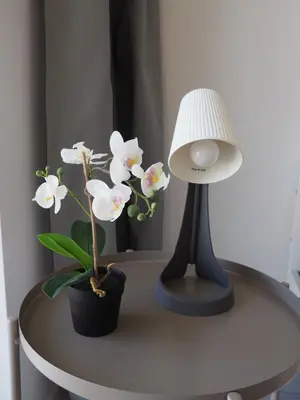 Plan piętra w obiekcie Snug Apart A82