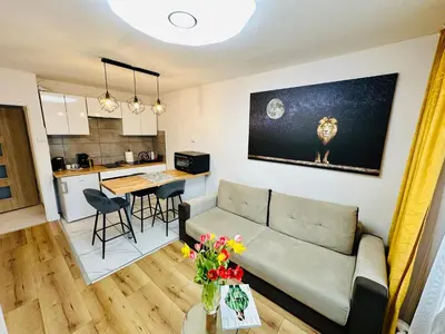 Kuchnia lub aneks kuchenny w obiekcie Lion Apartment