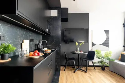 Kuchnia lub aneks kuchenny w obiekcie Wiktoryn 233 SuperApart - Studio z klimatyzacją