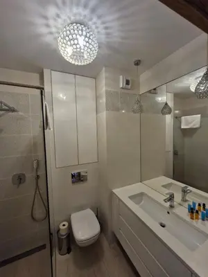 Łazienka w obiekcie Rayskiego Premium Apartment
