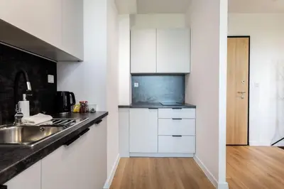 Kuchnia lub aneks kuchenny w obiekcie CitySphere Premium Suite 3 Wiktoryn