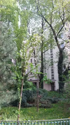 Ogród w obiekcie Downtown Elegant & Sunny Apartment Near Metro Central Station