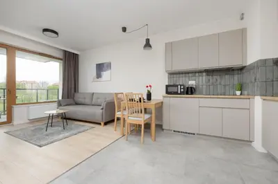 Kuchnia lub aneks kuchenny w obiekcie Ludwiki Premium Apartment