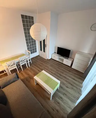 Telewizja i/lub zestaw kina domowego w obiekcie Modern Zoliborz Apartment