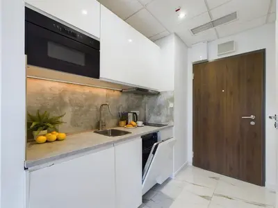 Kuchnia lub aneks kuchenny w obiekcie Modern, Air-conditioned Studio in the Centre of Warsaw by Noclegi Renters