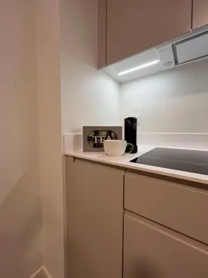 Kuchnia lub aneks kuchenny w obiekcie TM APARTMENTS Ludwiki