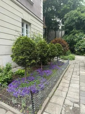 Ogród w obiekcie Mostowa Apartament Old Town Warszawa