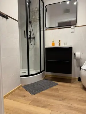 Łazienka w obiekcie MaxApart Apartament Wiktoryn