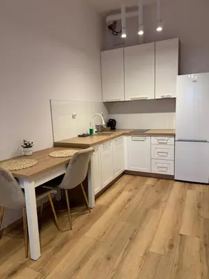 Kuchnia lub aneks kuchenny w obiekcie MaxApart Apartament Wiktoryn