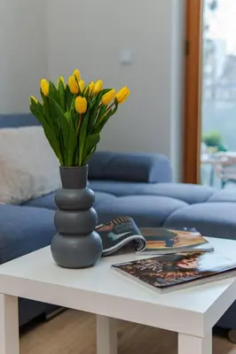 Część wypoczynkowa w obiekcie Piękny Apartament Bobrowiecka z balkonem