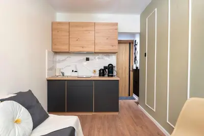 Kuchnia lub aneks kuchenny w obiekcie Studio obok metra! Apartmenty Natural