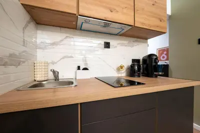 Kuchnia lub aneks kuchenny w obiekcie Studio obok metra! Apartmenty Natural