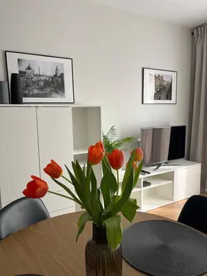 Telewizja i/lub zestaw kina domowego w obiekcie Metro Art Scandic Studio